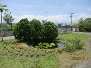 綠化作業(完成)