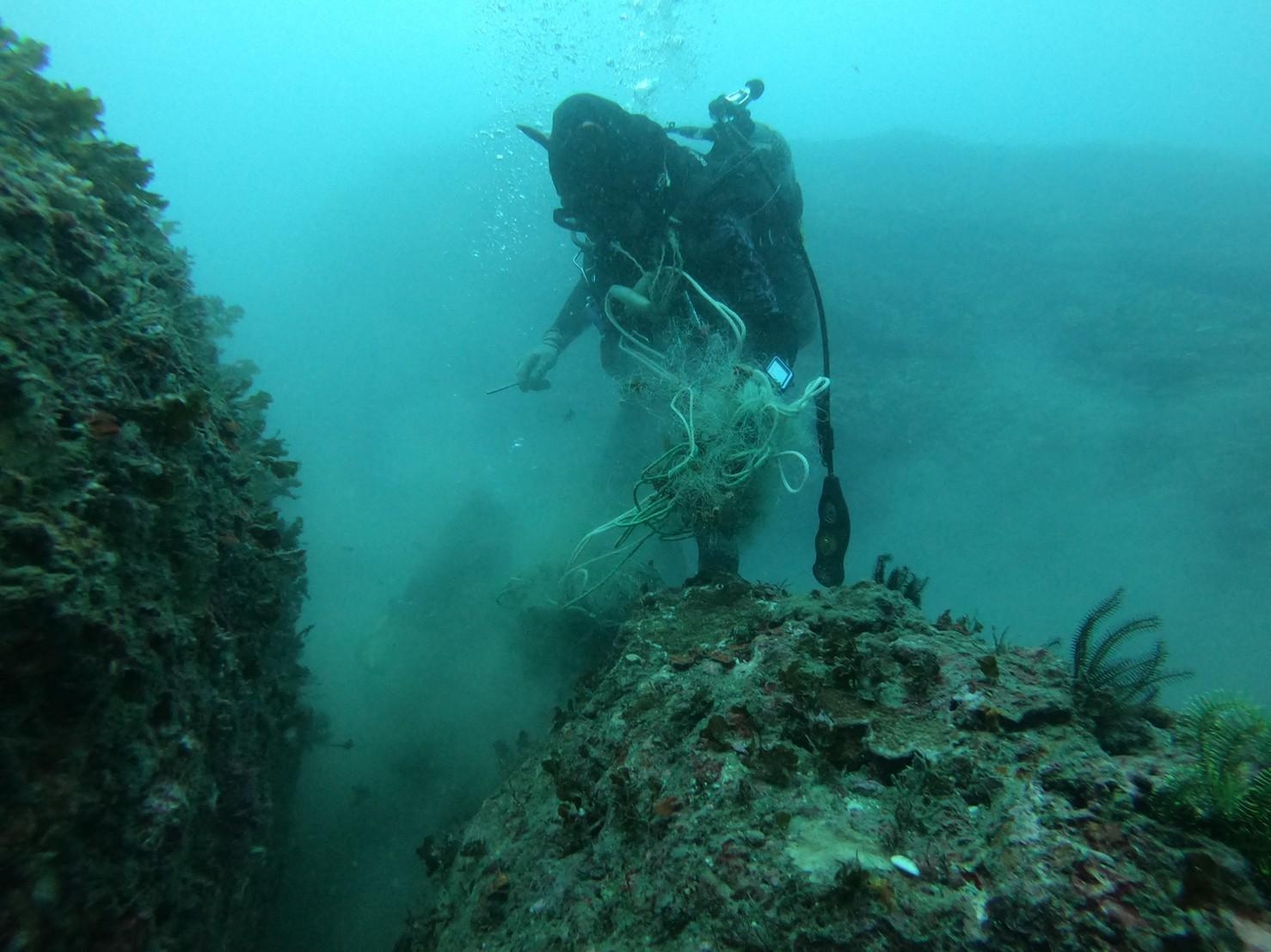 淨海聯盟生力軍 守護洄瀾太平洋